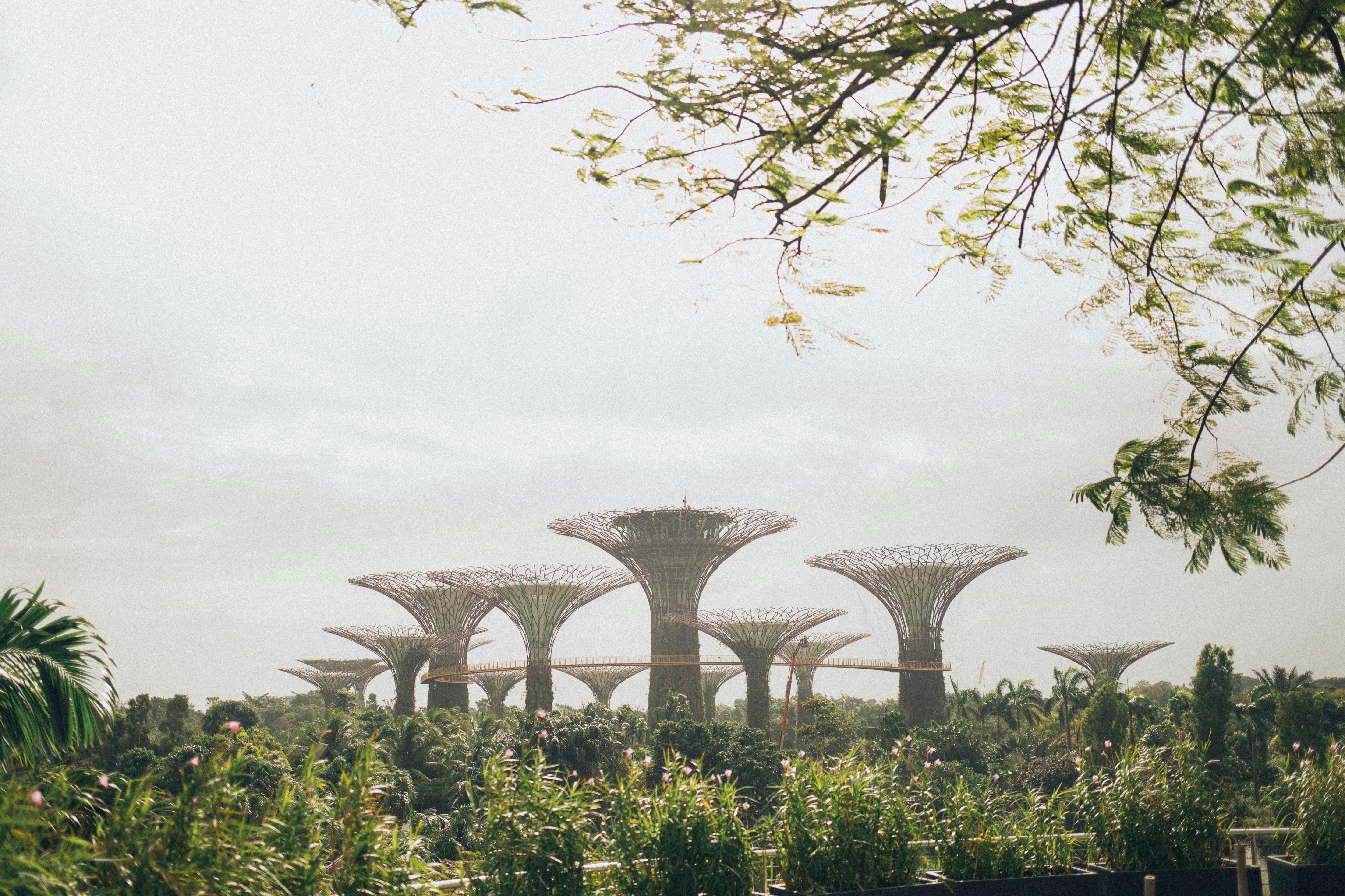 A soft, pastel, grainy image of Gardens by the Bay, symbolizing Abellé’s roots as a Singapore brand inspired by nature, beauty, and thoughtful craftsmanship.