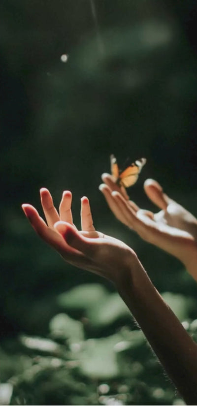 Hands releasing a butterfly, capturing themes of renewal and worship.